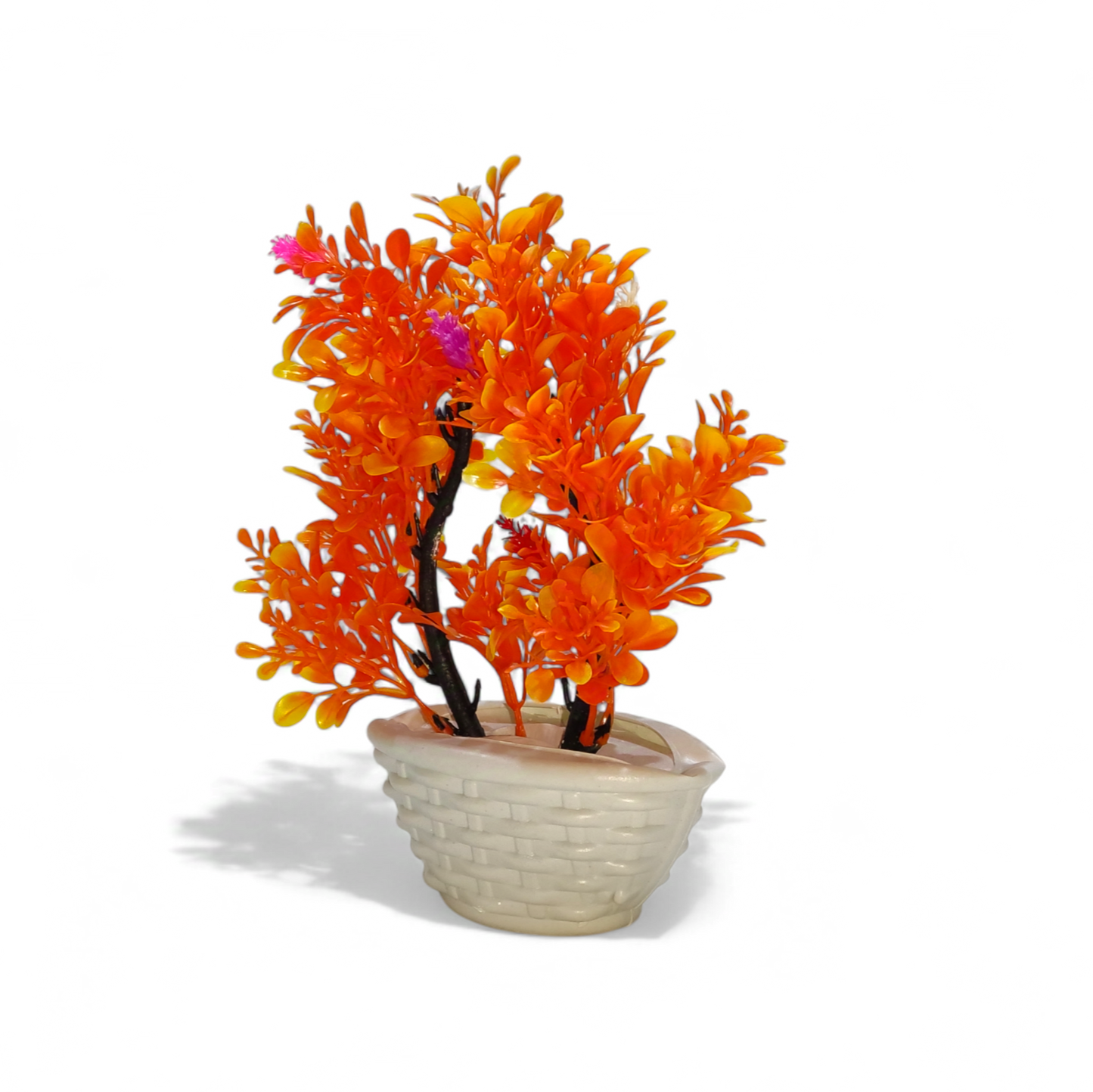 Miniature Orange Bonsai Tree (Large)