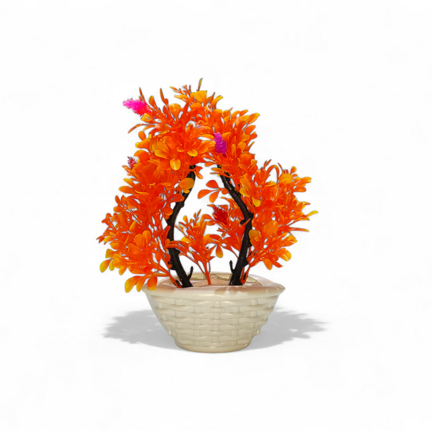 Miniature Orange Bonsai Tree (Large)