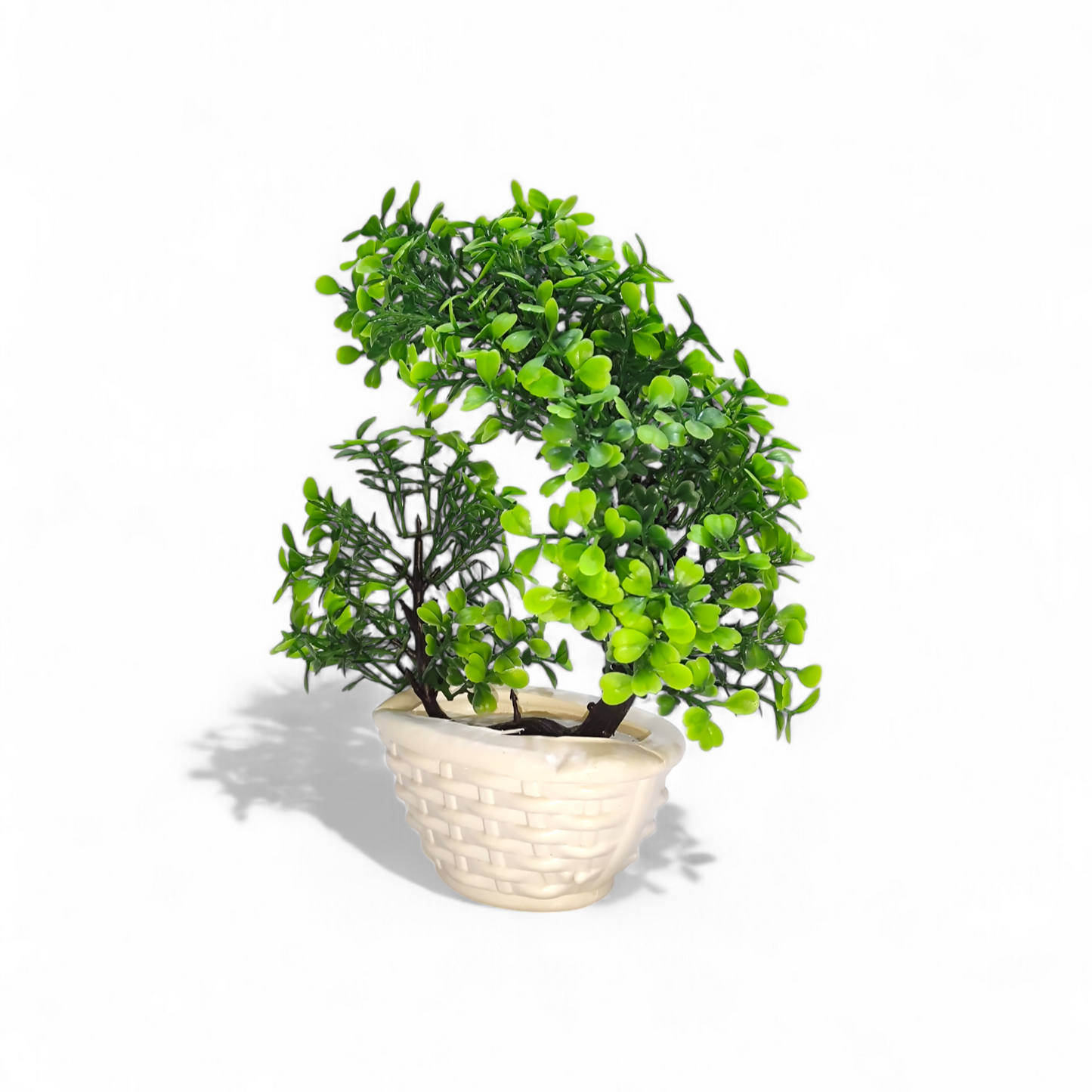 Miniature Green Bonsai Tree (Large)