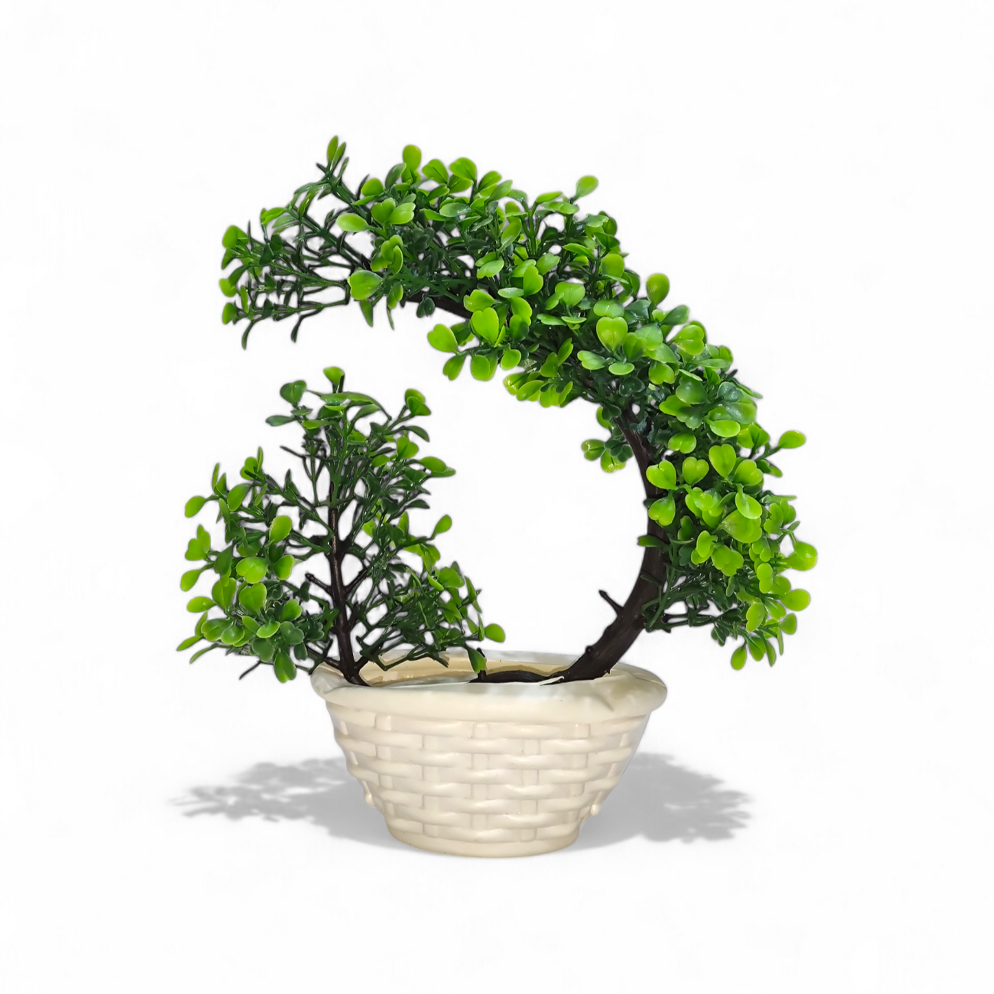 Miniature Green Bonsai Tree (Large)